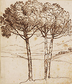 <i>View with Pine Trees</i>